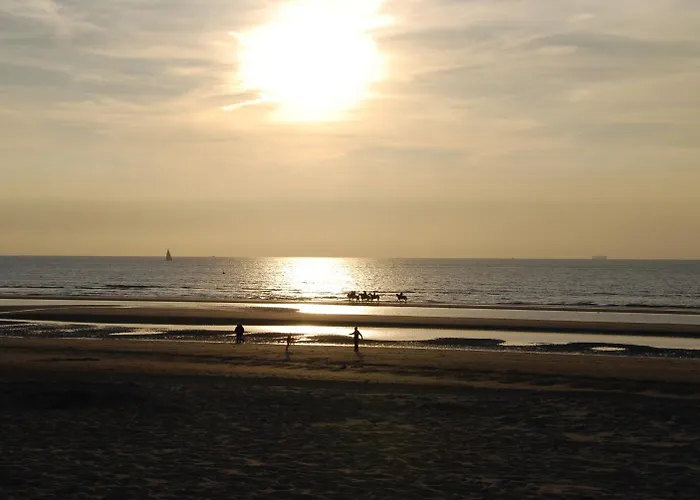 Hotel Rubens De Haan